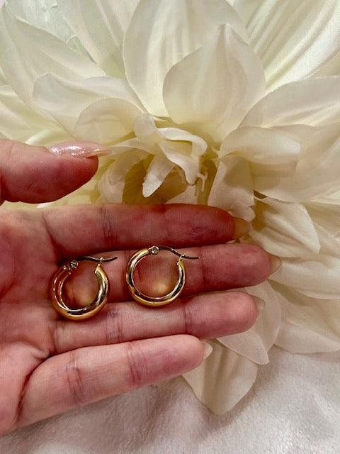 Small Gold Hoop Earrings
