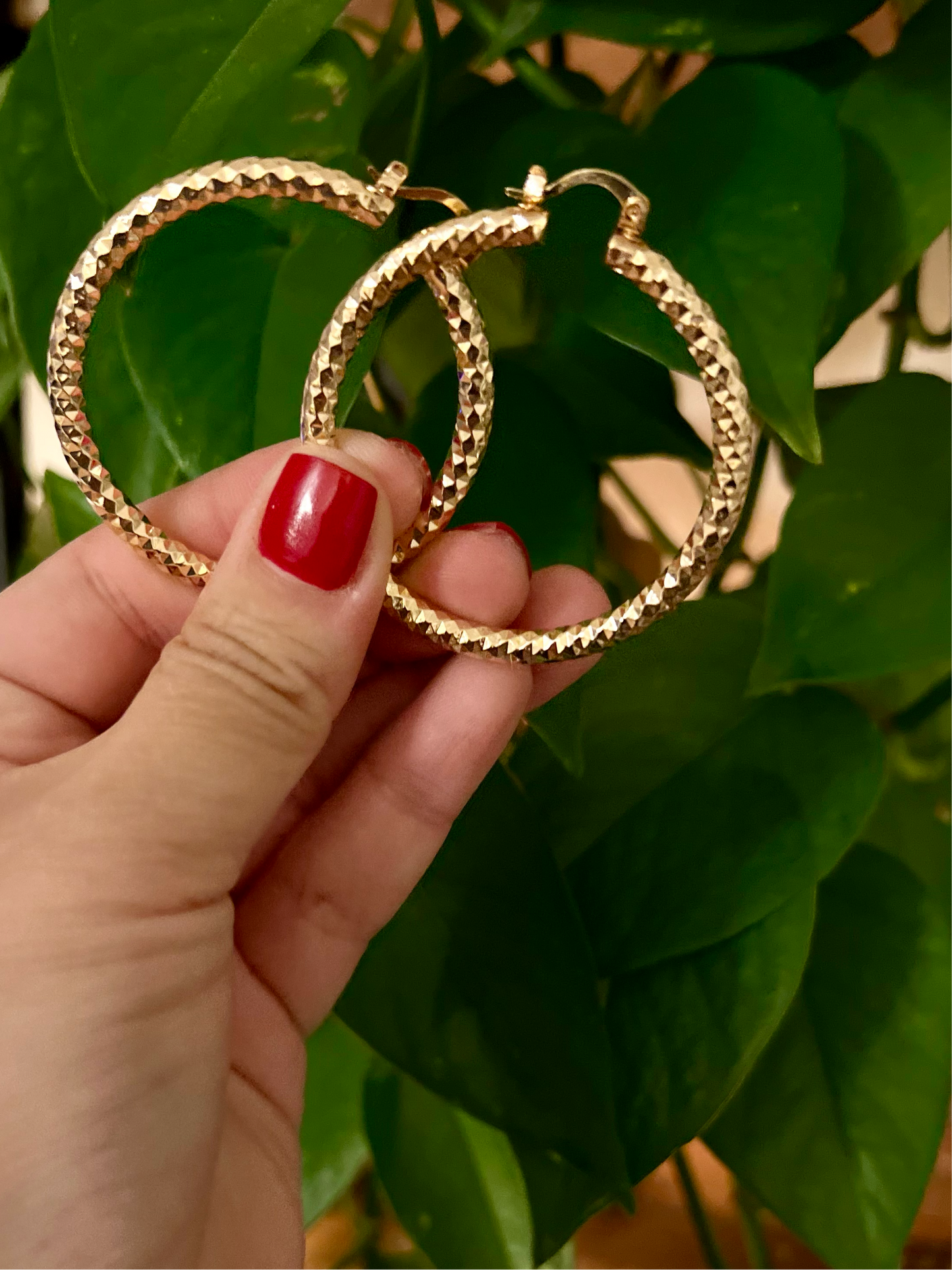 Chic Gold Hoop Earrings